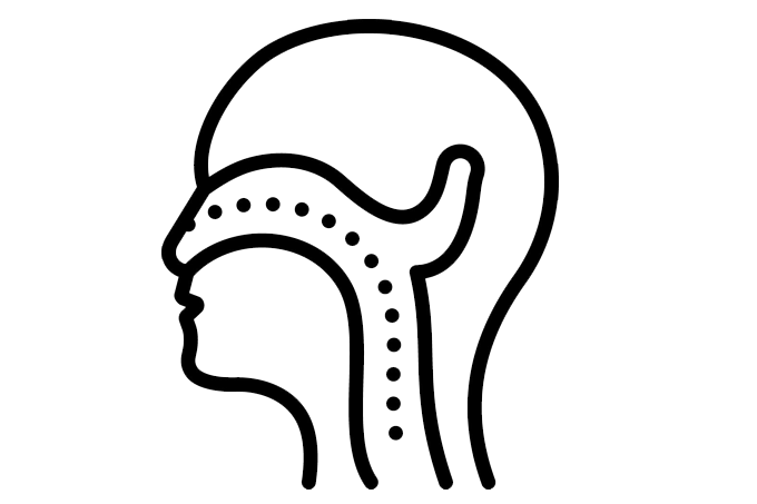 Cardiology Icon